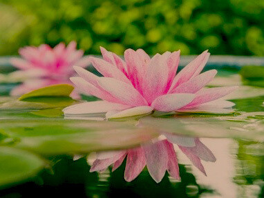 L’ayurveda è una filosofia di vita che promuove una consapevolezza discriminante e tende a una salute perfetta