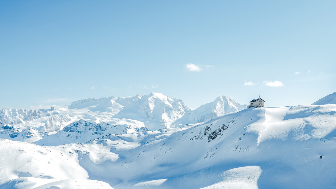 Le innumerevoli virtù della neve