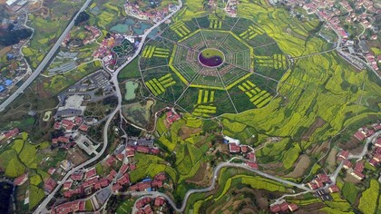 A bird's eye view of Eight Trigrams garden
