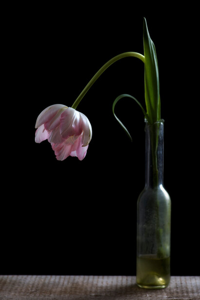 Vestigium. Courtesy of MADE4ART