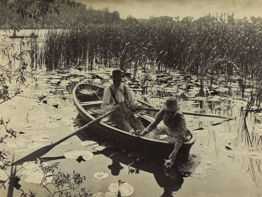 Gathering Water Lilies by Peter Harry Emerson, 1886, platinum print © Howarth-Loomes Collection at National Museums Scotland