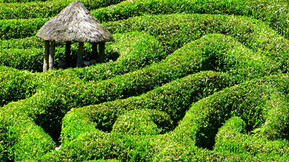 Laberinto en verde