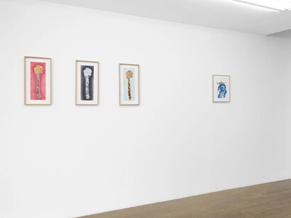 Frédérique Lucien, Pensées vagabondes, vue d'exposition. Avec l'aimable autorisation de la Galerie Backslash