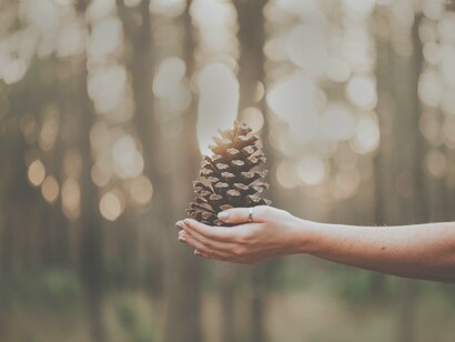 Today is a wonderful day 