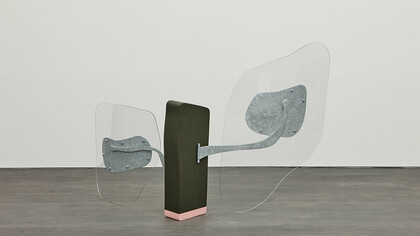 Nairy Baghramian
Big Valve, 2016
Zincked metal, painted polyurethane, polycarbonate
120 x 230 x 57 cm / 47,24 x 90,55 x 22,44"
Photograph by Dirk Pauwels

