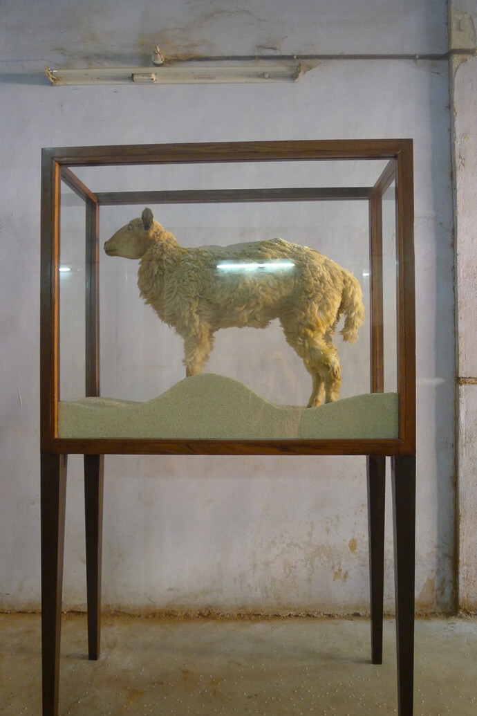 Sudarshan Shetty, Untitled, 2015, Mouton naturalisé, riz, vitrine verre et bois, 195 x 122 x 51 cm / 77 x 48 x 20 in., Courtesy of the artist, Galerie Daniel Templon Brussels and Paris