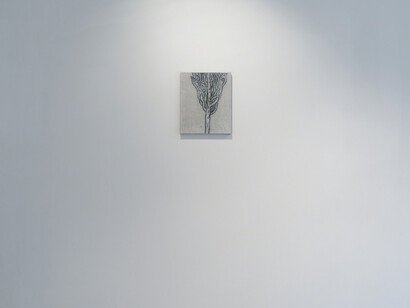 The stars above the ocean the ocean beneath the stars. Courtesy of Totah