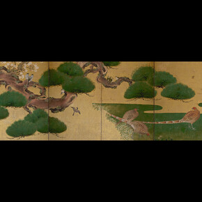 A fleeting bloom. Courtesy of Queensland Art Gallery