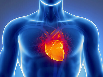 They say why not substitute the heart with a really good mechanical pump, electronically regulated