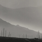 Richard Yee 趙羡藻, Stroll #2, Qing Shan, Hong Kong (detail), 1966. Courtesy of Robert Klein Gallery 