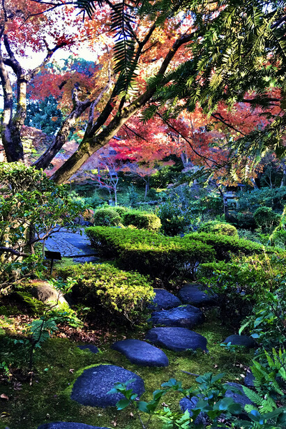 Stoned pathways in the garden © Alma Reyes