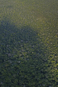 Helicóptero sobrevolando la selva