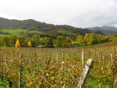 The Podere Pradarolo near Parma