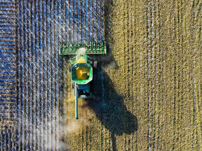 L'agricoltura intensiva causa dei cambiamenti climatici