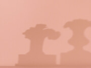 Catherine Wagner. Courtesy of Anglim Gilbert Gallery