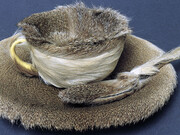 Meret Oppenheim. Object, 1936. Fur-covered cup, saucer, and spoon, cup 4-3/8 inches in diameter; saucer 9-3/8 inches in diameter; spoon 8 inches long," (The Museum of Modern Art, NYC).