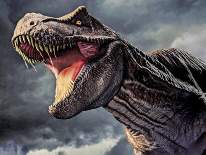 Un tempo la terra era dominata dai dinosauri, e solo la loro scomparsa permise una progressiva affermazione dei mammiferi