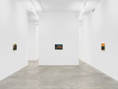 Kevin Beasley, All I thought / I loved, exhibition view. Courtesy of Casey Kaplan Gallery