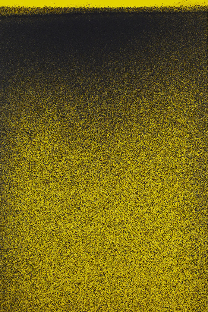 John Knuth, Ascension Plain (2014) Acrylic/flyspeck on canvas cm. 152.4x91.44 (in. 60 x 36)
