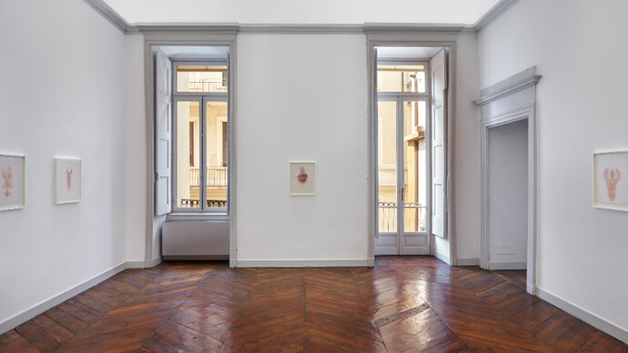 Tunga. Courtesy of Galleria Franco Noero