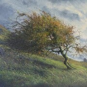 Gerald Dewsbury, Hawthorne on arenig slopes