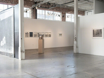 Cloned. Courtesy of Gallery 16