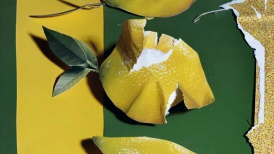 Daniel Gordon, Lemons, 2013, C-Print, Ed. 3 + 1 AP, 7x9" / 17.8x22.9cm
