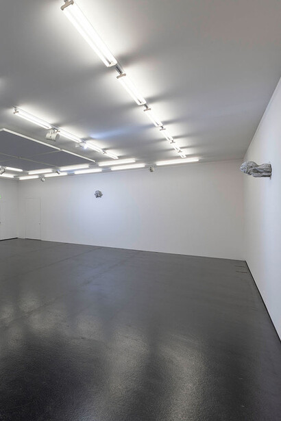 Marie Matusz. Courtesy of Aargauer Kunsthaus