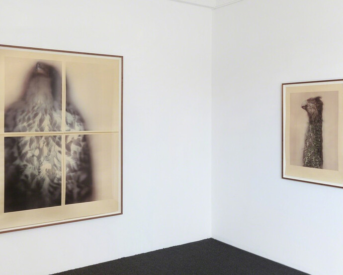 Ann Hamilton, Exhibition view. Courtesy of Gemini G.E.L.