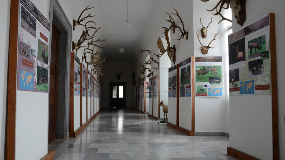 The Sallač Collection. Courtesy of National Museum of Agriculture