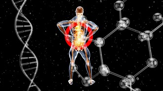 Representação do corpo humano cercada por estruturas moleculares e uma dupla hélice de DNA. A epigenética investiga justamente como fatores ambientais e comportamentais podem influenciar a expressão dos genes sem alterar sua sequência genética. Entre a herança genética e o ambiente existe um complexo sistema de regulação que ajuda a moldar a saúde ao longo da vida. Cada escolha cotidiana contribui para criar o ambiente bioquímico que influencia padrões de expressão gênica
