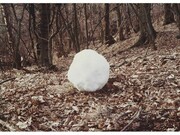 Andy Goldsworthy, Snowball, 1979, Courtesy Arts Council Collection, Southbank Centre, London, Copyright the artist