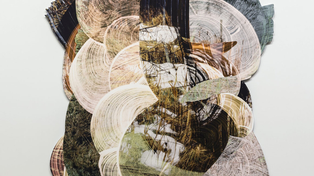 Wil Murray, Exhibition view. Courtesy of Vitrine