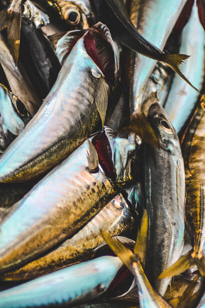Un pescatore istintivo