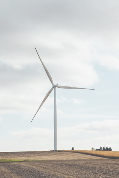 White windmills on brown field 
