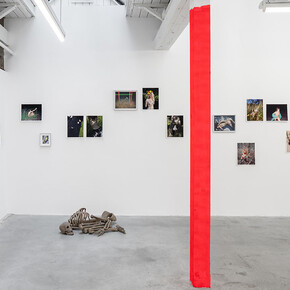 Viviane Sassen and Emmeline De Mooij, Frau holle, exhibition view. Courtesy of Stevenson