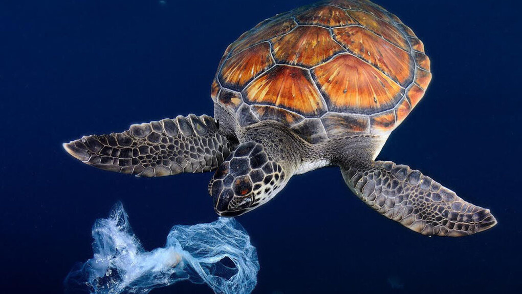 Today billions of pounds of plastic get into the sea