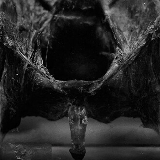 OJardim, Exhbition view. Courtesy of Galeria Mezanino