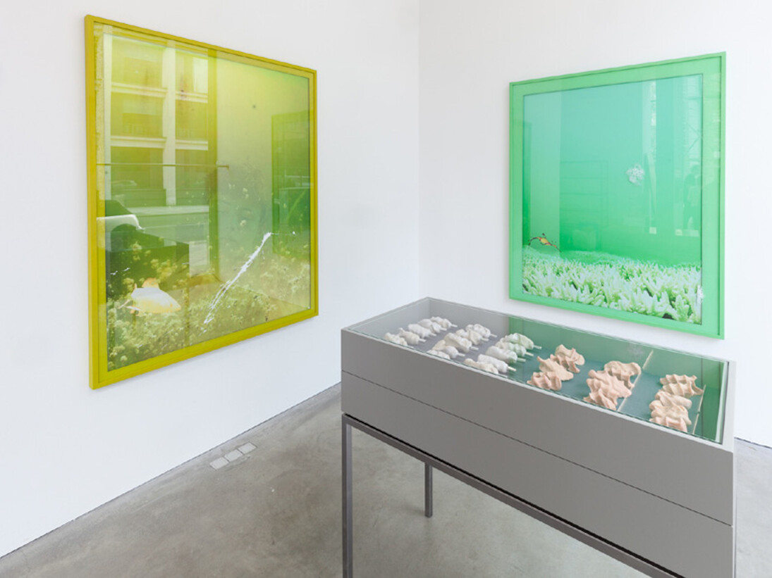 Michael Müller, Exhibition view. Courtesy of Galerie Thomas Schulte