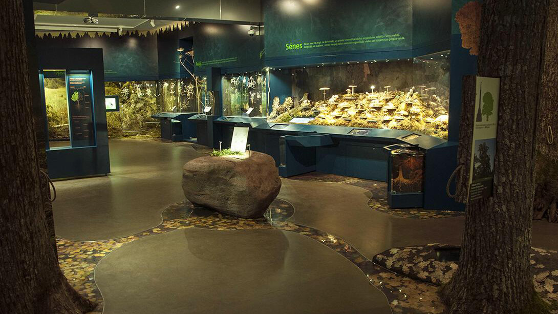 Plants and fungi of Latvia, exhibition view. Courtesy of the Latvian National Museum of Natural History