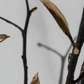 Javier Pérez. Courtesy of Galería Carles Taché
