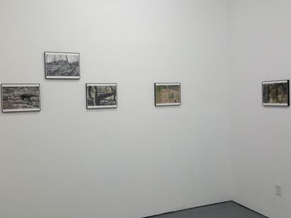 Adler Guerrier. Courtesy of Marisa Newman Projects