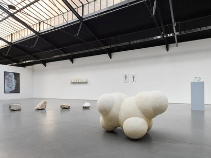 Jeanne Susplugas, Ordinary madness, vue d'exposition. Avec l'aimable autorisation de la Galerie La Patinoire Royale Bach