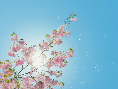 «Hay una grieta en todo: así es como entra la luz» (Leonard Cohen)