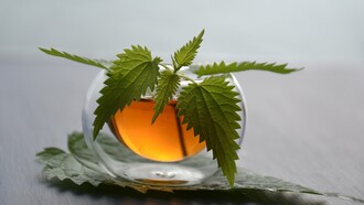 Naturopatia