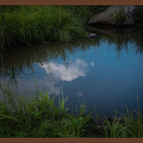 Stephen's Pond, 2019. Archival pigment print, 20 x 30 inches (framed dimensions: 21.5 x 31.5 x 2 inches). Courtesy of Winston Wächter Fine Art Seattle