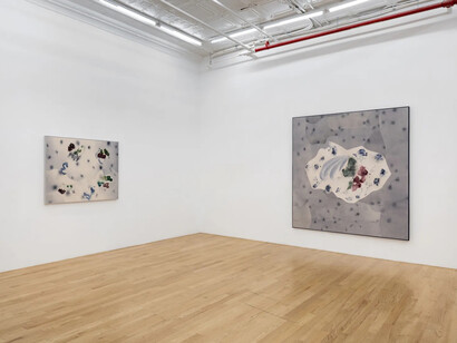 Claire Oswalt, Primo piano, exhibition view. Courtesy of Broadway Gallery