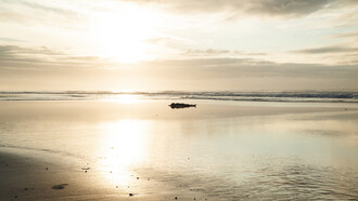 Alexander Chaves, Desplazamiento del dolor, video performance, 2020