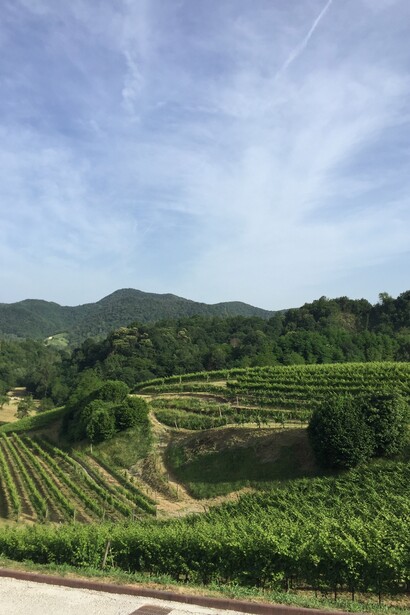 Colli Asolani