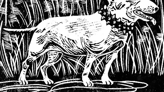Rebecca Elliot, Dog